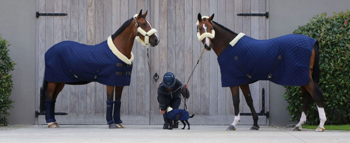 couverture-cheval-température
