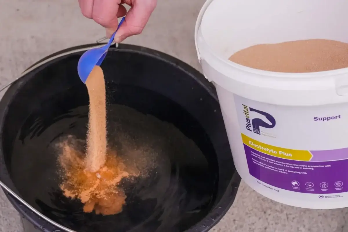 electrolyte-cheval-a-quoi-ca-sert