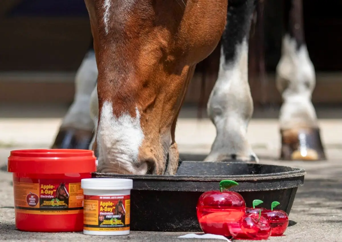 electrolyte-cheval-poudre-ou-liquide