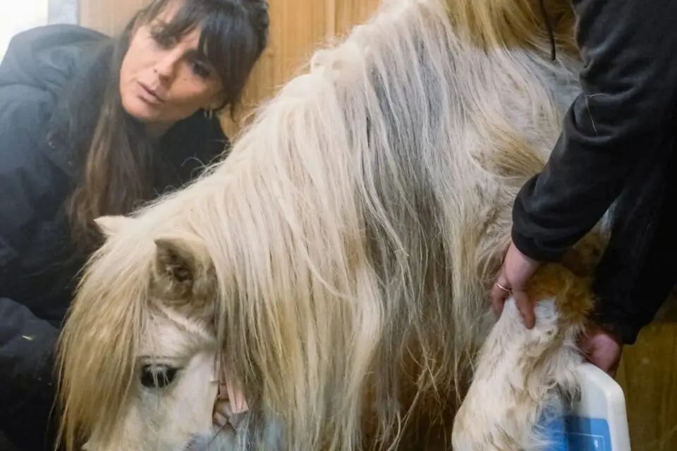 granola-ponette-marche-ortheses-apres-8-ans-negligence