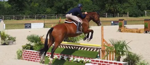 hunter-equitation