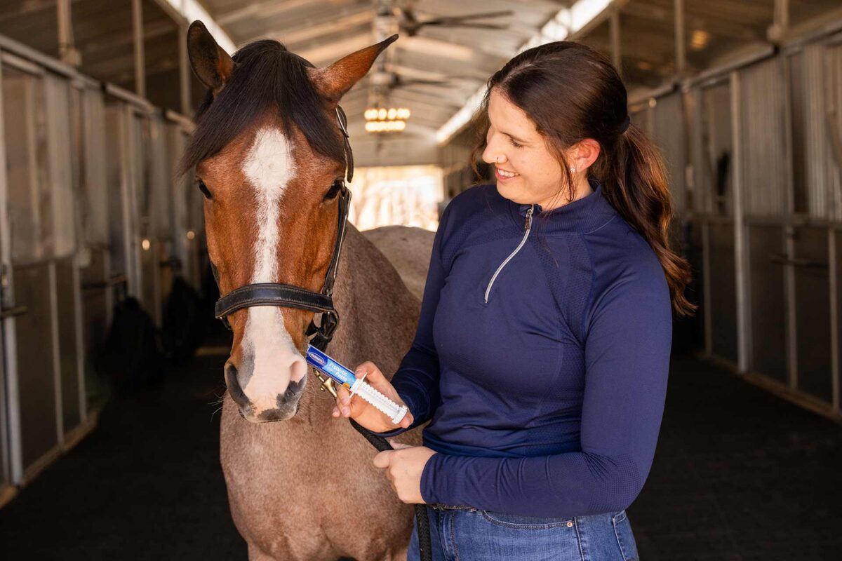 interets-bienfaits-probiotiques-cheval