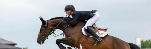 mathieu-guery-victoire-talents-saut-hermes-2026