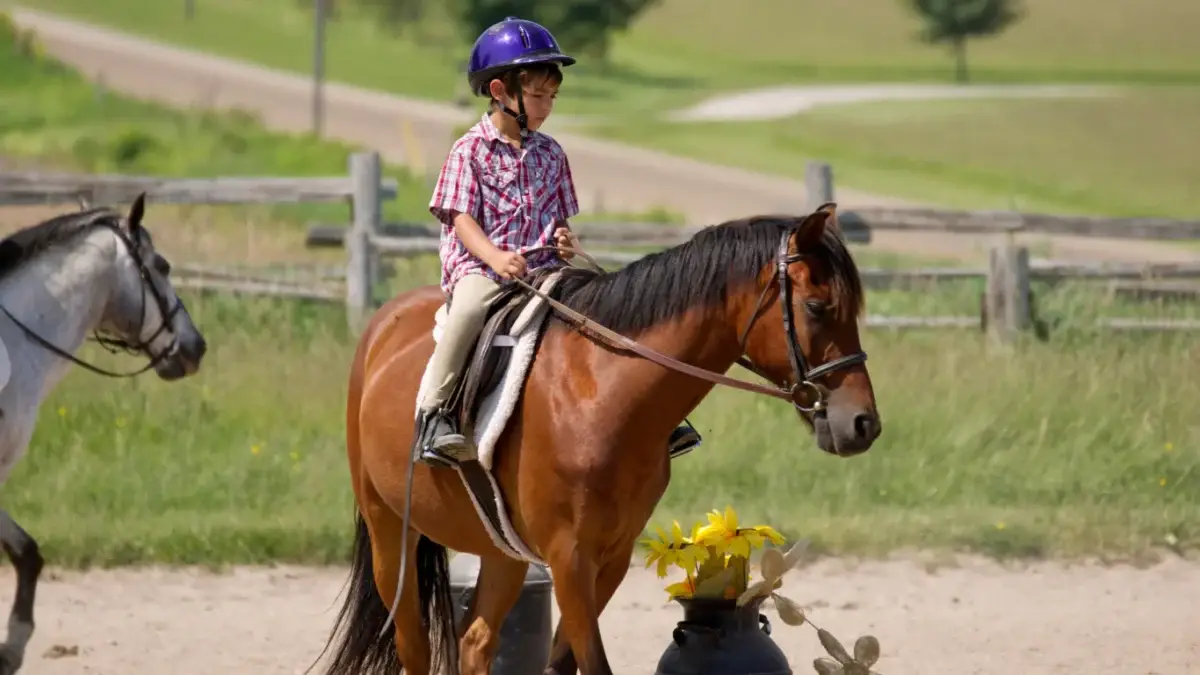 prix-equitation-adulte-enfant-par-mois