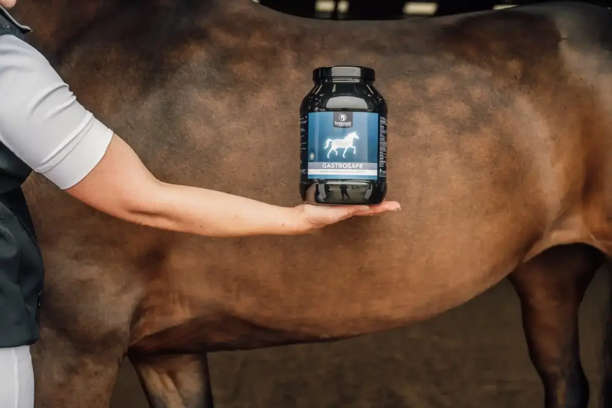 probiotiques-cheval