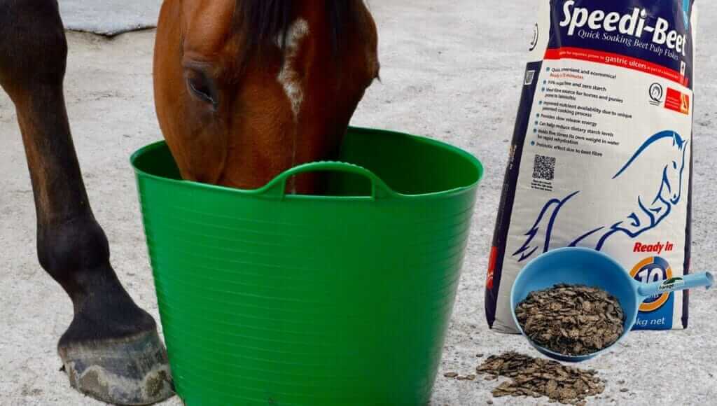 pulpe-de-betterave-cheval-maigre-avis-prix