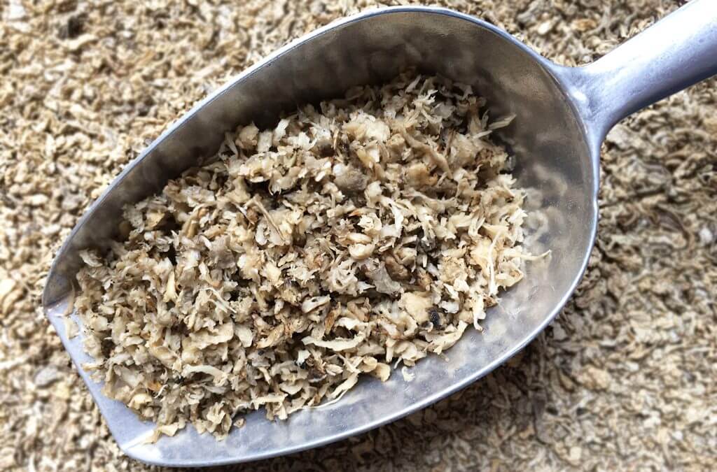 pulpe-de-betterave-cheval-preparation-sans-melasse