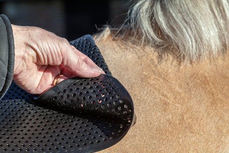 quel-pad-cheval-choisir