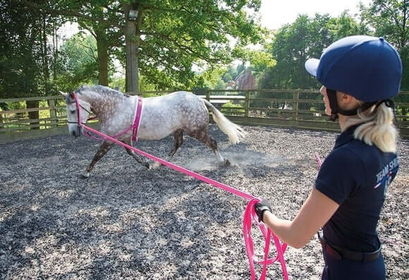 quelle-longe-cheval-choisir-10m-5m