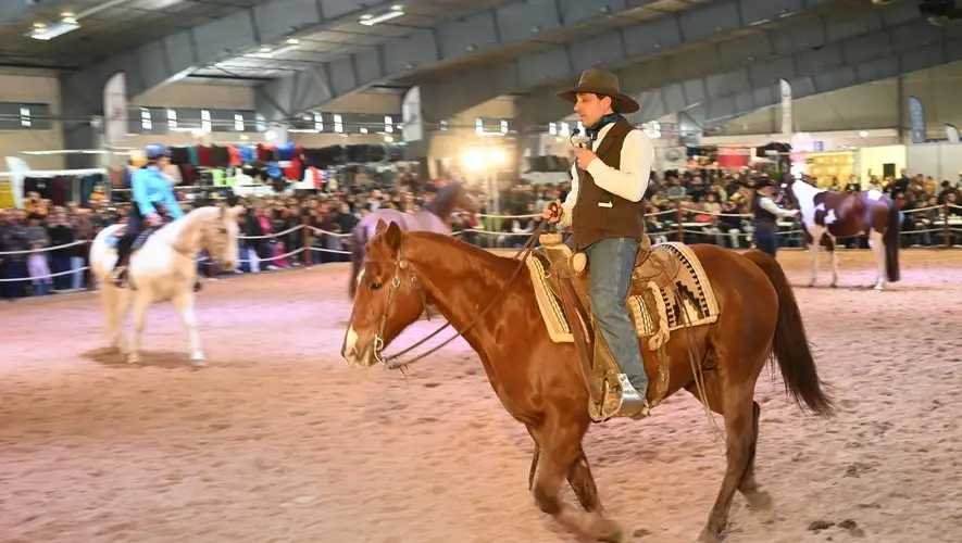 salon-du-cheval-albi-2026