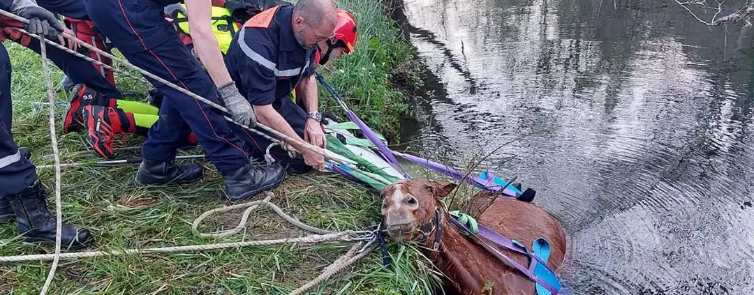 sauvetage-cheval-dordogne