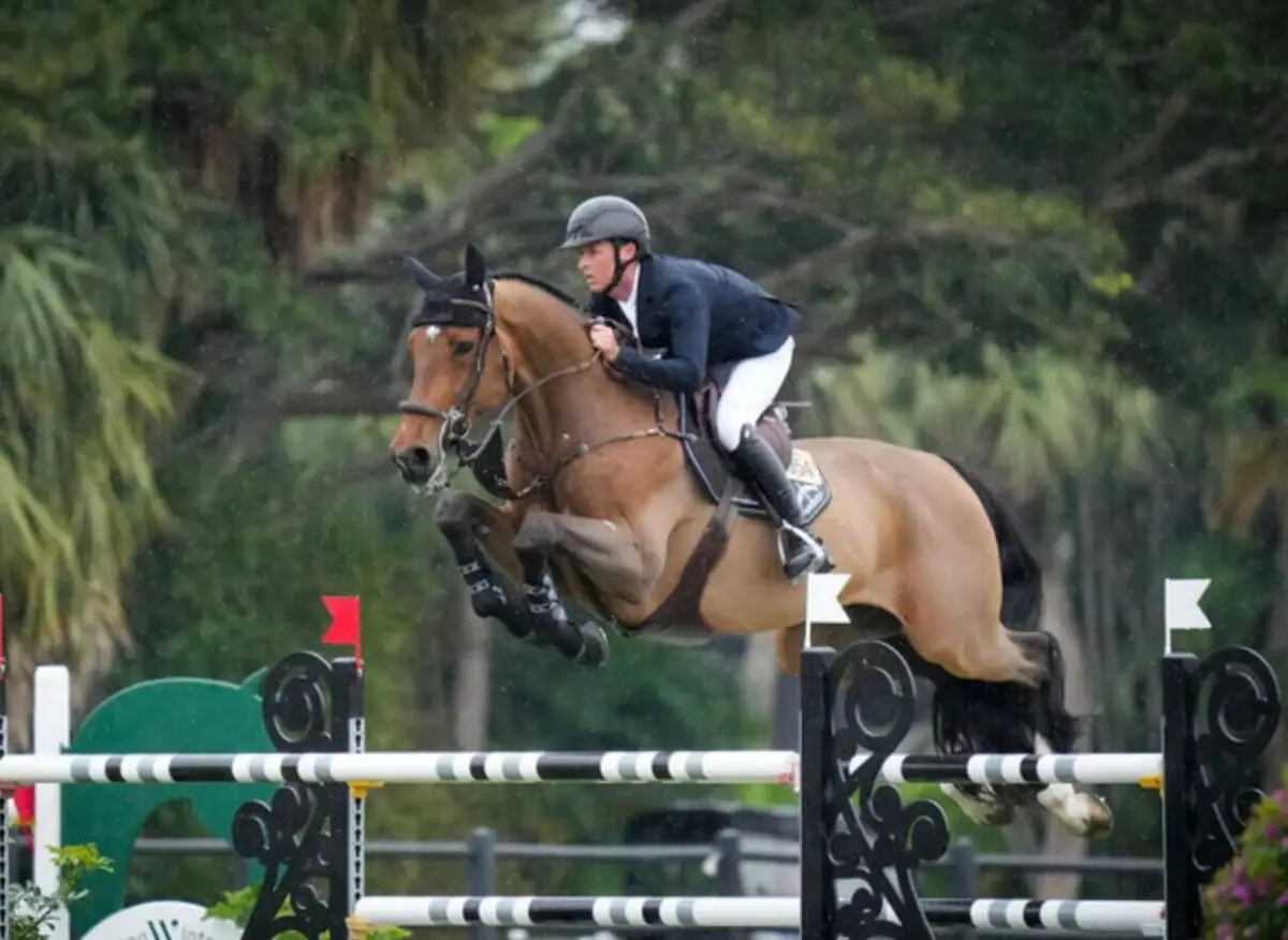 shane-sweetnam-victoire-csi-5-wellington