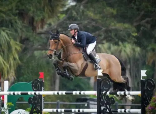 shane-sweetnam-victoire-csi-5-wellington