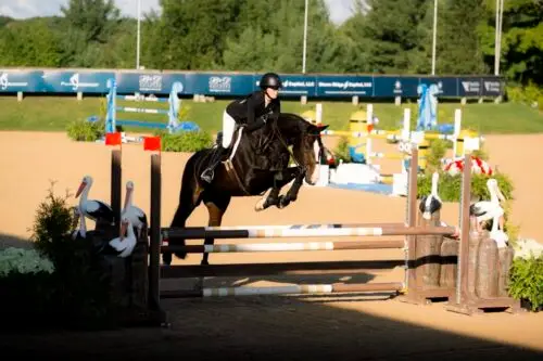 victoire-charlotte-jacobs-csi-5-wellington