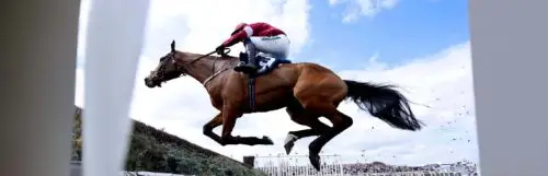 cheval-décédé-course-liverpool