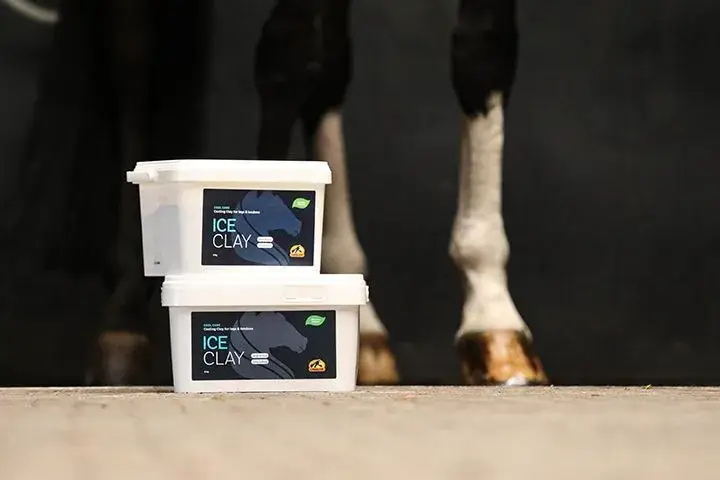 combien-de-temps-peut-on-laisser-argile-sur-cheval