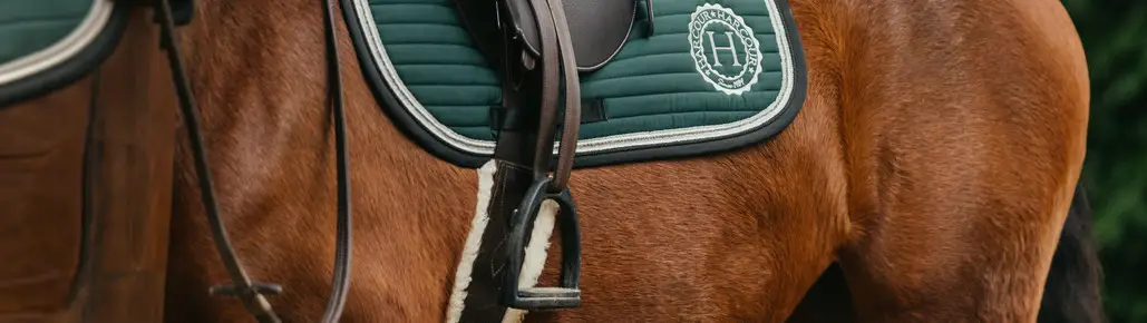 comment-choisir-etrier-cheval