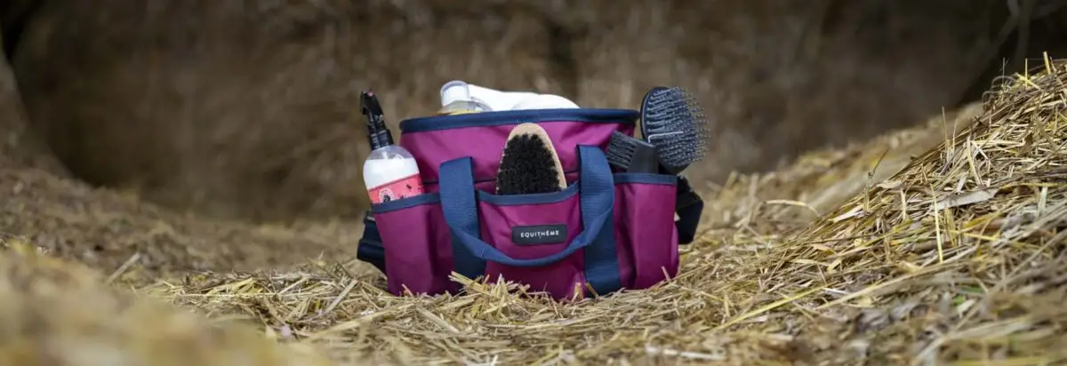 comment-choisir-sac-de-pansage-equitation