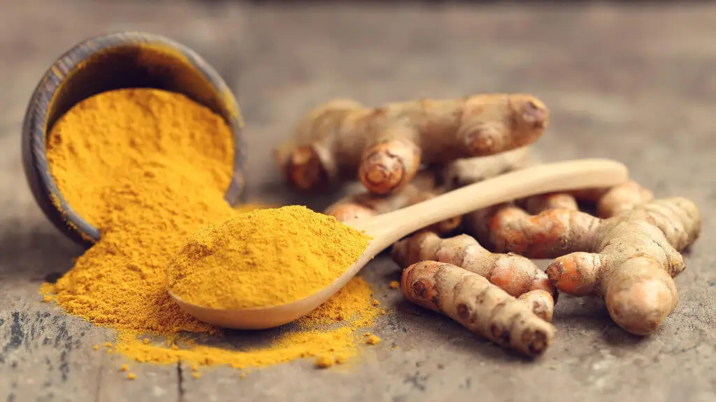 curcuma-cheval-bienfaits-dose-posologie