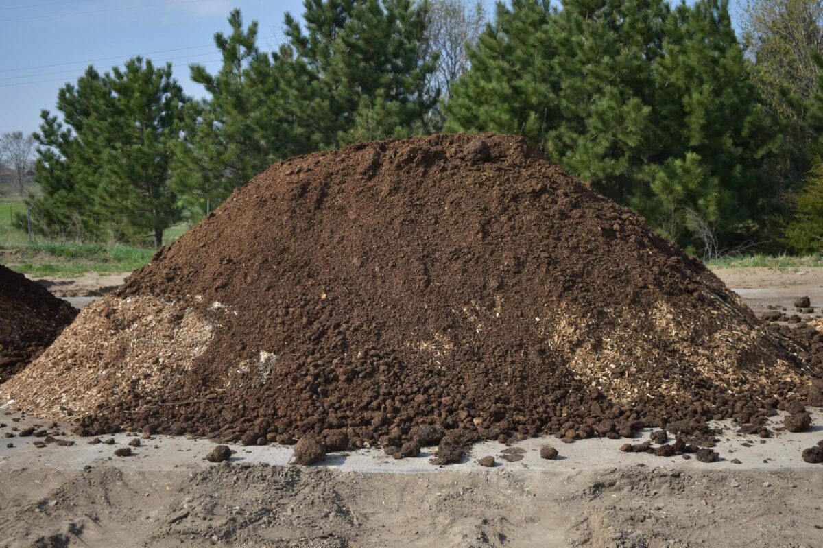 equarissage-cheval-reglementation-deroule-regles