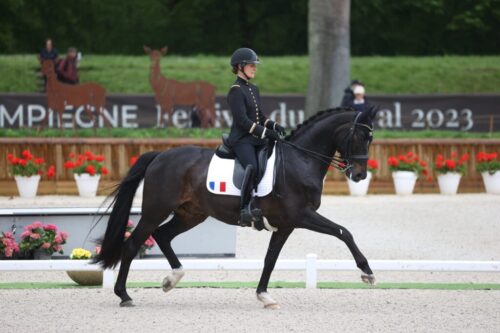 equipe-de-france-remporte-coupe-des-nations-poneys