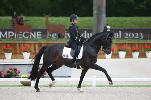 equipe-de-france-remporte-coupe-des-nations-poneys
