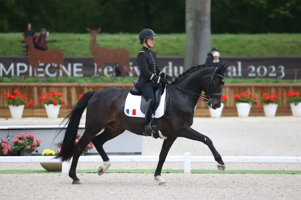equipe-de-france-remporte-coupe-des-nations-poneys