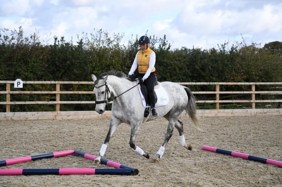 exercice-barre-au-sol-cheval-a-pied