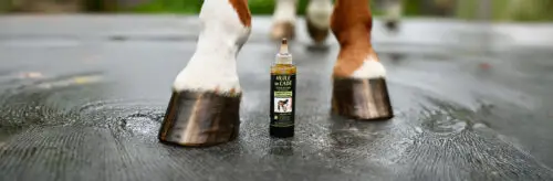 huile-de-cade-chevaux