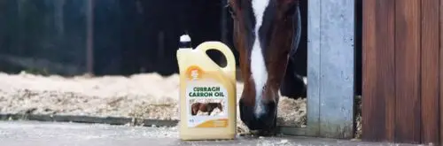 huile-de-lin-cheval