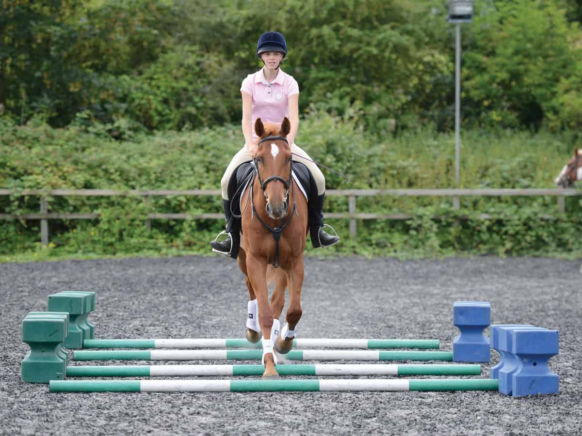 idee-exercice-barre-au-sol-cheval