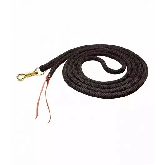 longe-cheval-ethologique-waldhausen