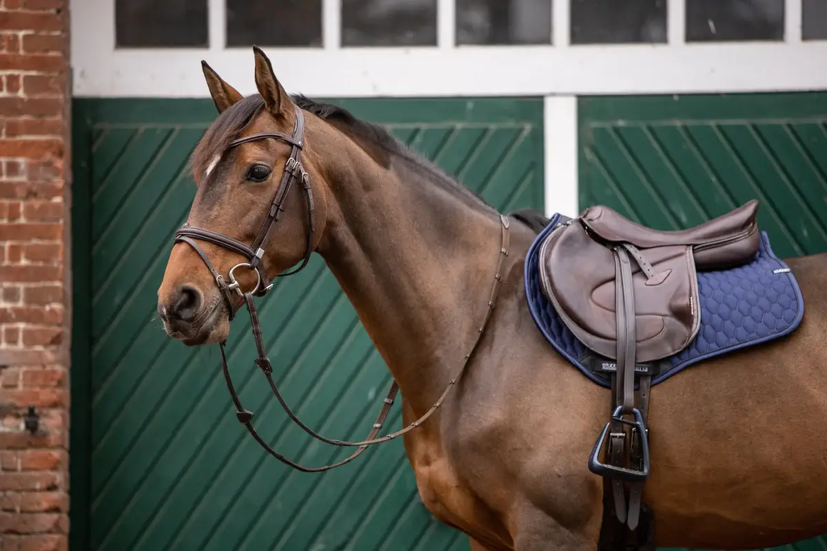 marques-filet-equitation-comparatif
