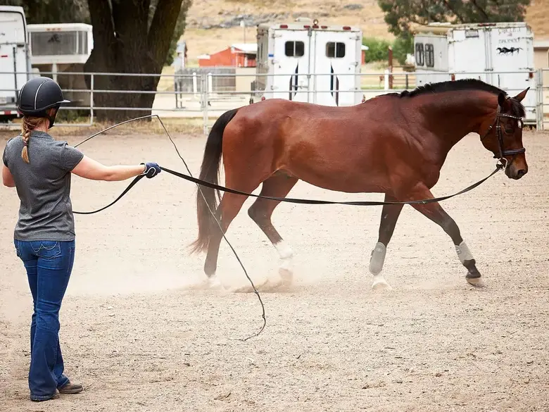 meilleures-longes-cheval