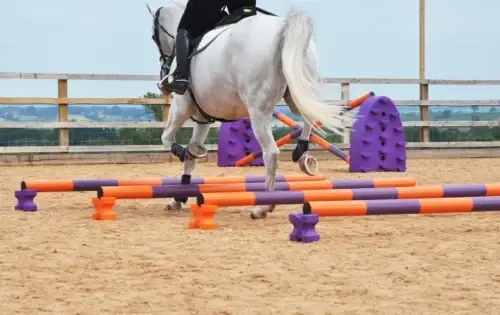 meilleurs-exercices-barre-au-sol-chevaux