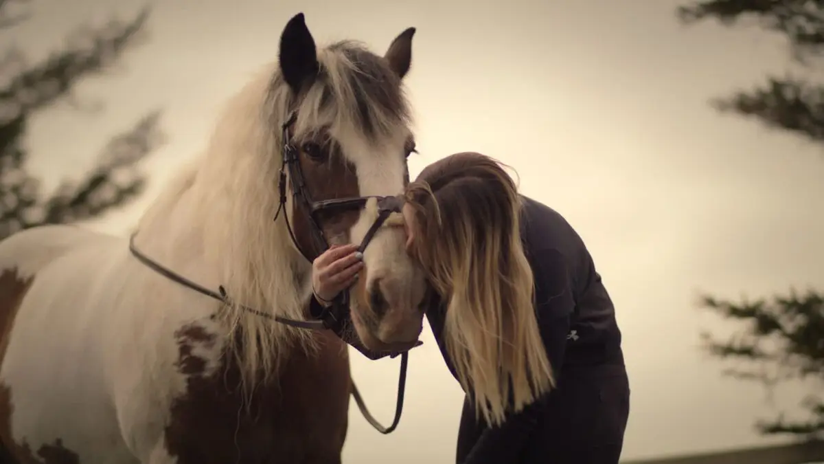 myopathie-atypique-cheval-causes-symptomes-traitement