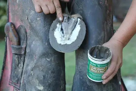 pathologies-sabot-cheval