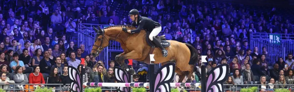 salon-du-cheval-paris