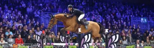 salon-du-cheval-paris