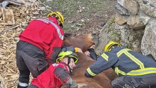 sauvetage-cheval-chaspinhac