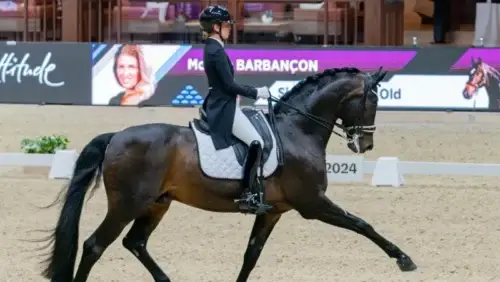 sir-donnerhall-ii-retraite-sportive