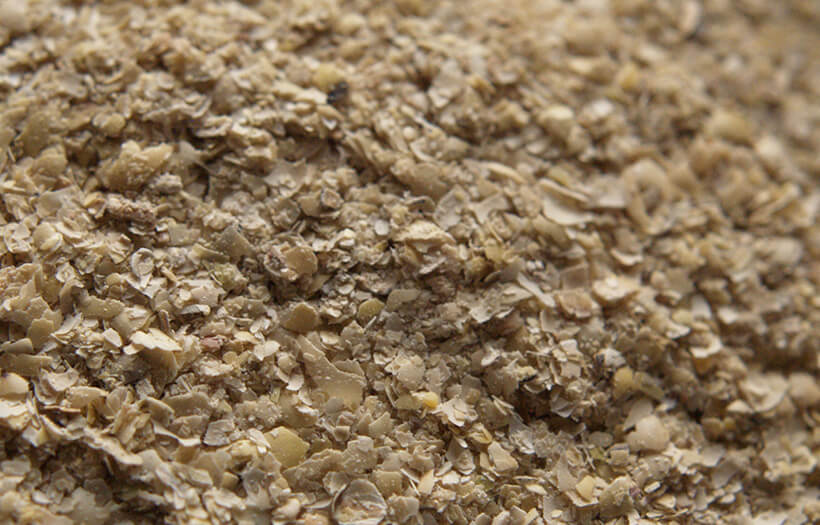 tourteau-soja-bon-ou-mauvais-pour-les-chevaux