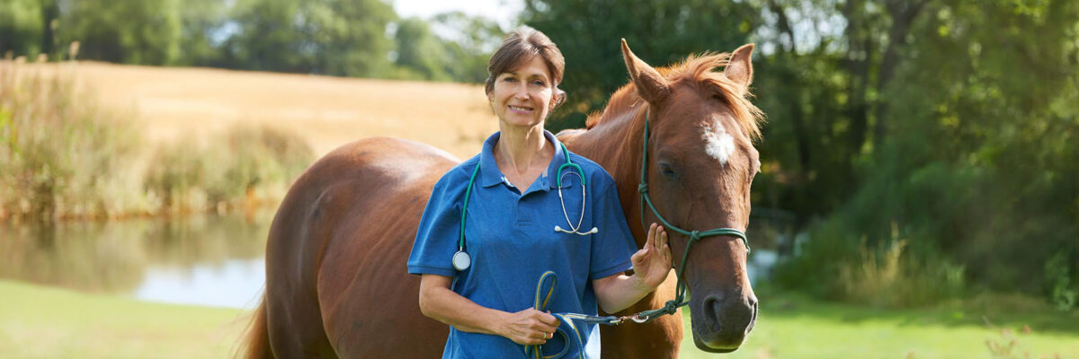 veterinaire-equin