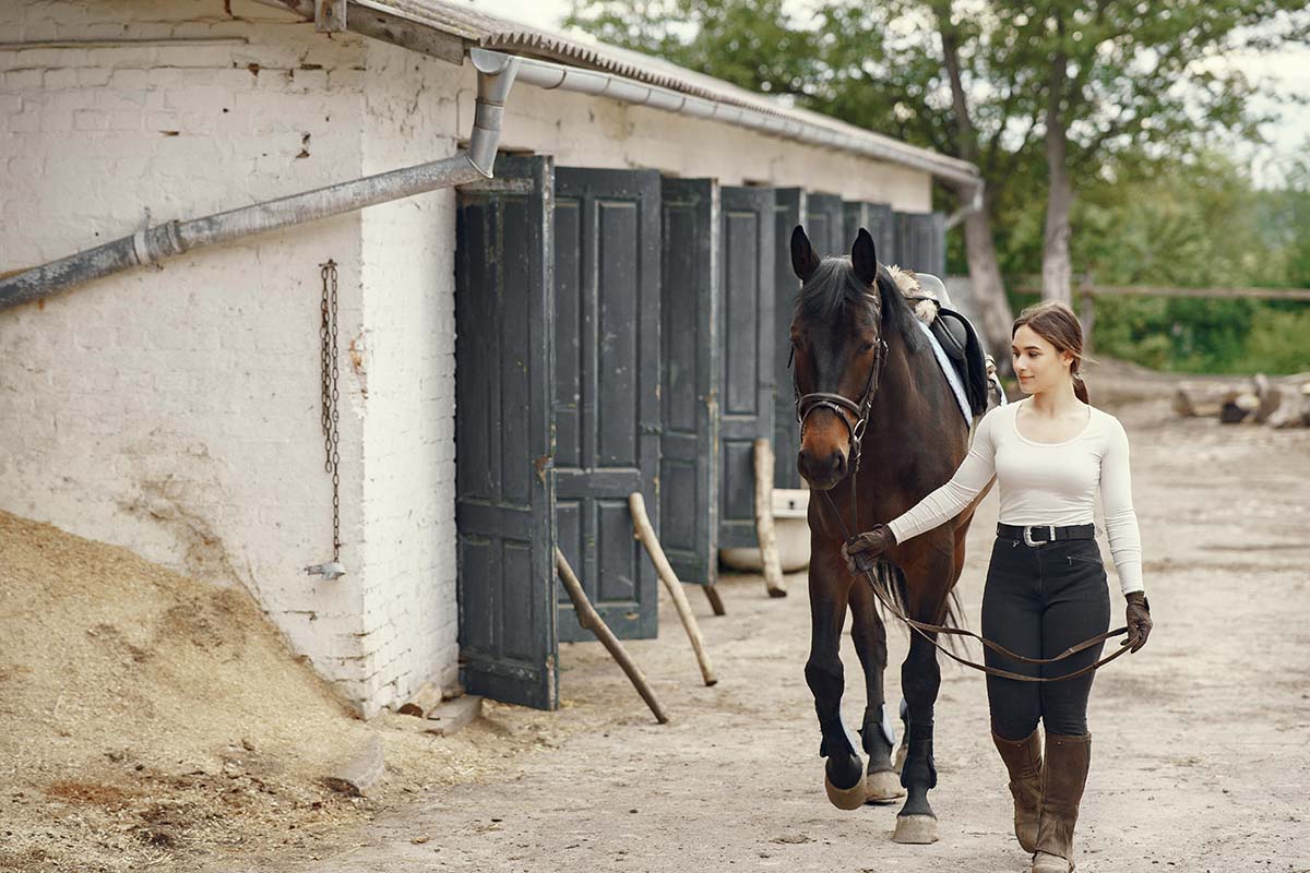 anti-inflammatoire-cheval-sans-ordonnance-comment-choisir