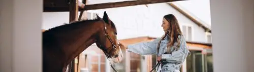 cheval-a-donner-contre-bon-soins