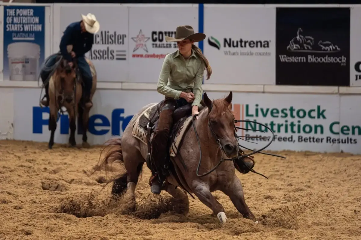cutting-cheval