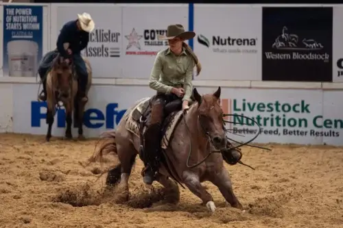 cutting-cheval
