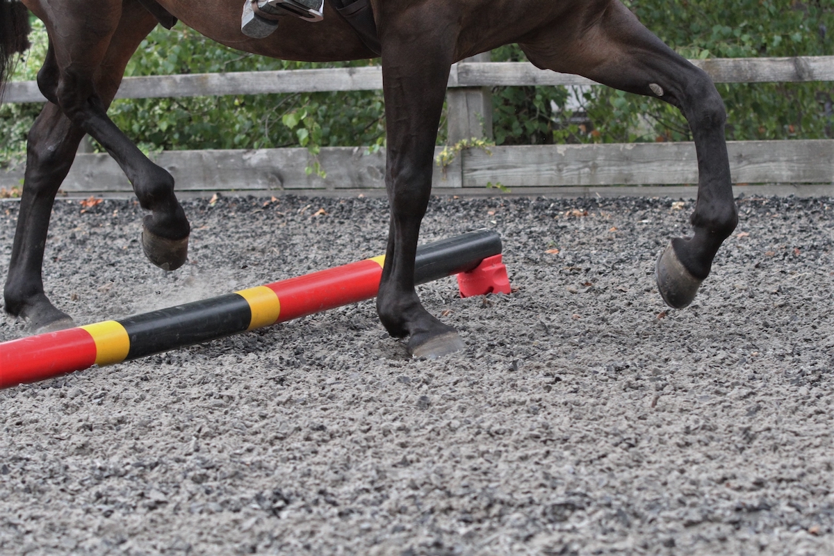distance-barre-au-sol-au-galop-poney-4-foulees