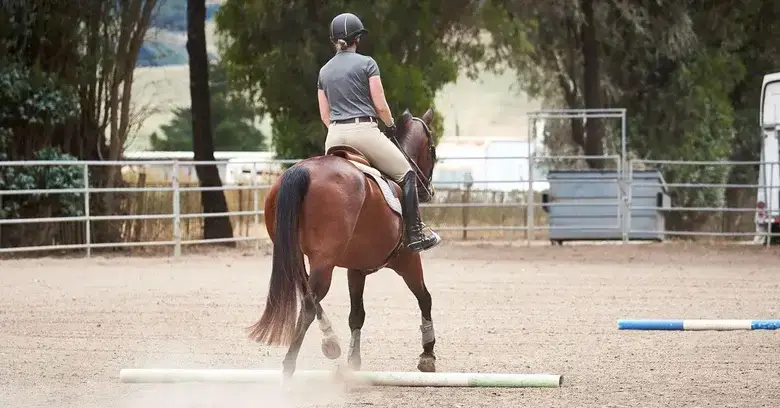 distance-barre-au-sol-au-trot-en-pied