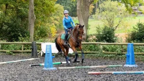 distance-barres-au-sol-au-galop